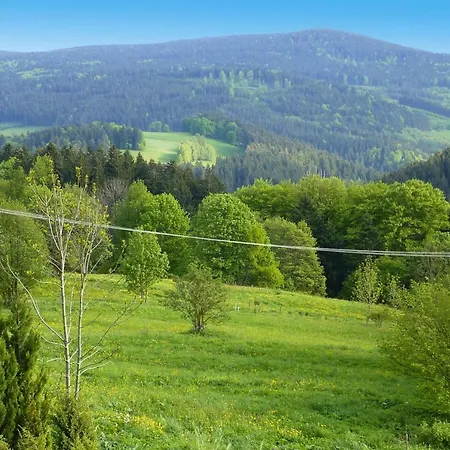 Daire Haus Hertlein St. Englmar - Dmg04025-dyc