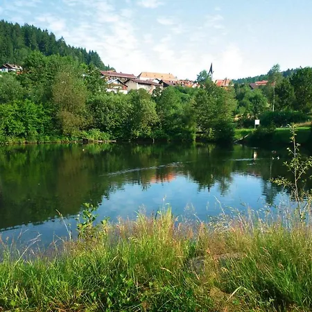 Daire Haus Hertlein St. Englmar - Dmg04025-dyc *