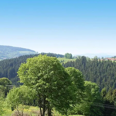 Appartement Haus Hertlein St. Englmar - Dmg04025-dyc Hilm